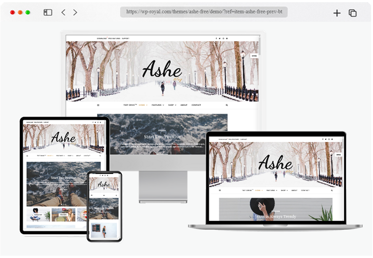 ashe blog free theme