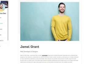 Free Resume WordPress Themes